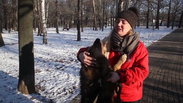 Из приюта домой! смотреть онлайн