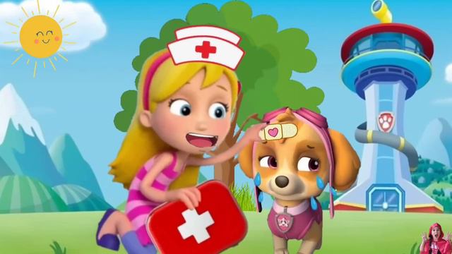 Paw Patrol On A Roll - Boo Boo Song - Funny Cartoon Animation / The Boo Boo Song Pawpatrol