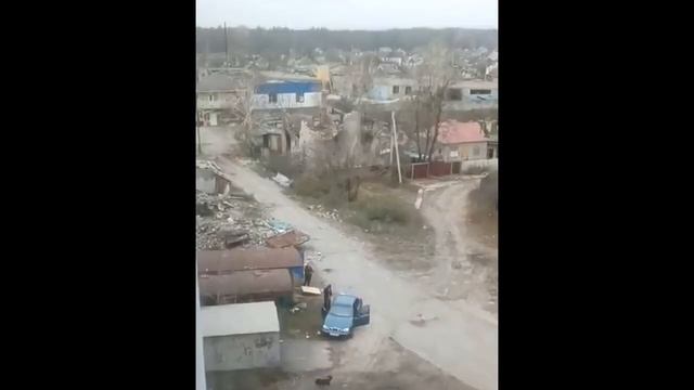 Лиман 25 11 2022.mp4 смотреть онлайн