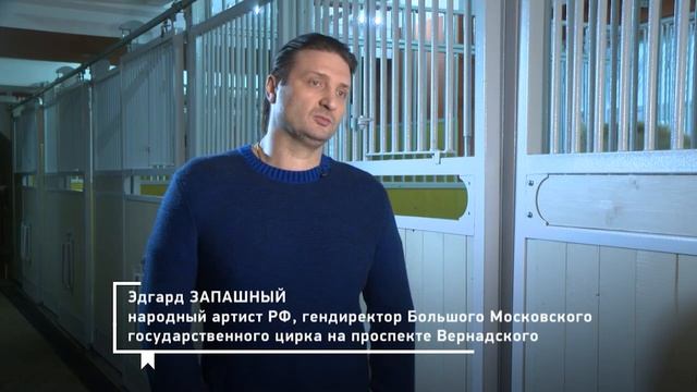 ВРАНЬЕ ЗООРАДИКАЛОВ