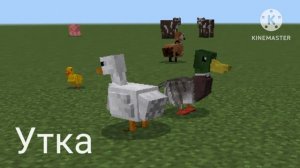 Домашние Животные Голоса и Звук