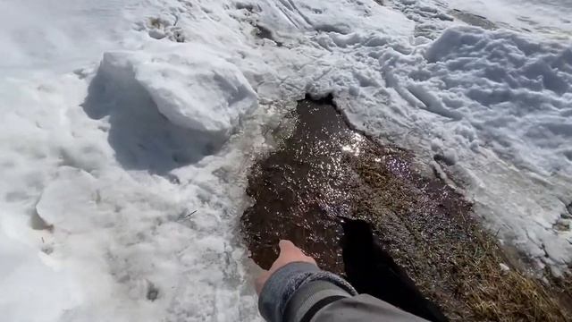 Новая команда «нельзя» / первые купания Гоши в этом году смотреть онлайн