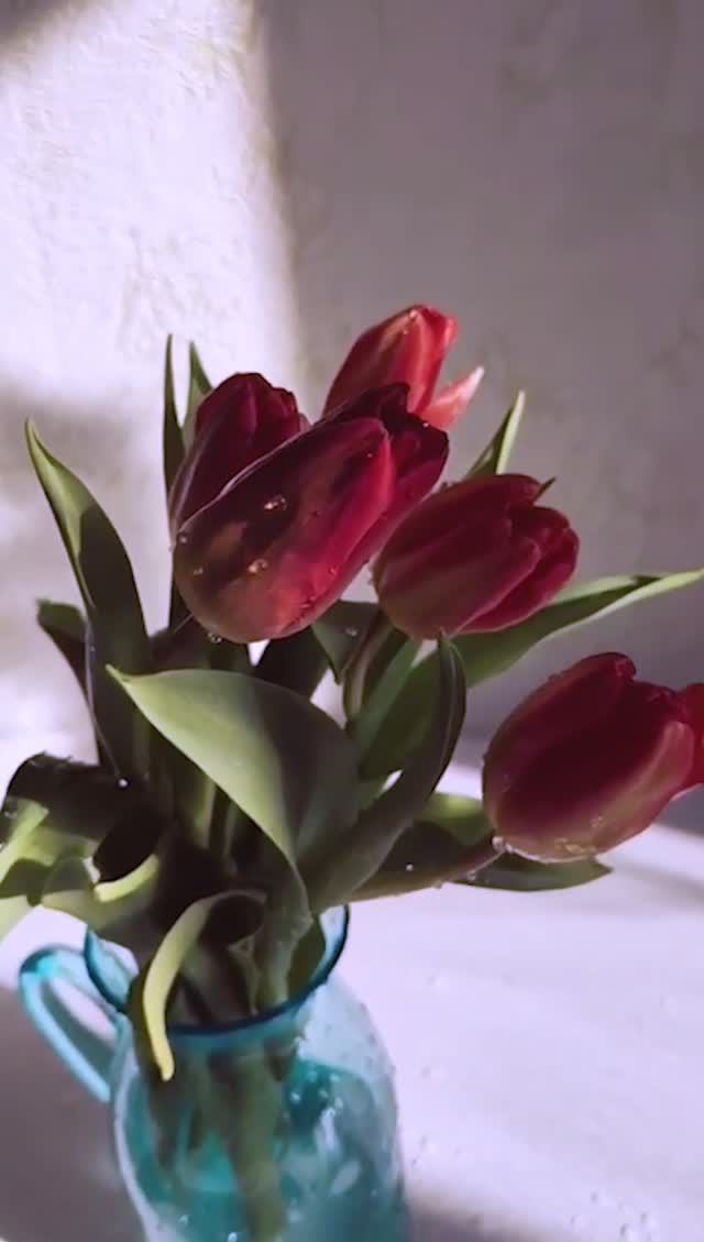 Как продлить жизнь тюльпанам? #shorts смотреть онлайн