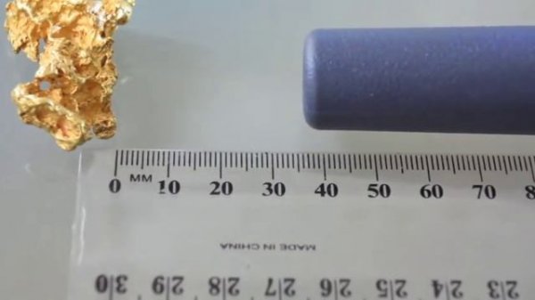 Minelab Pro-Find 25 Vs Garrett Pro-Pointer