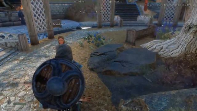 Jogando Skyrim AE com +1800 mods - Elysium Remastered смотреть онлайн