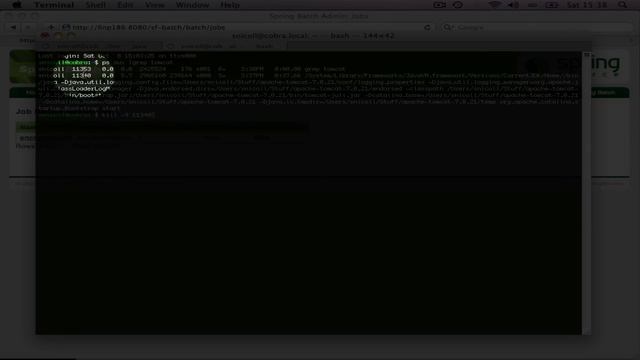 Remote partitioning with Spring Batch смотреть онлайн