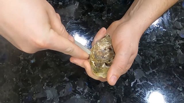 Как есть устрицы с лимоном смотреть онлайн