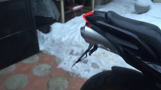 Yellow Perl Yamaha FZ6 Winter Start смотреть онлайн