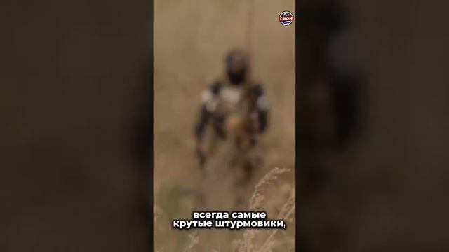 Идеальный штурмовик сух, поджар и невелик смотреть онлайн