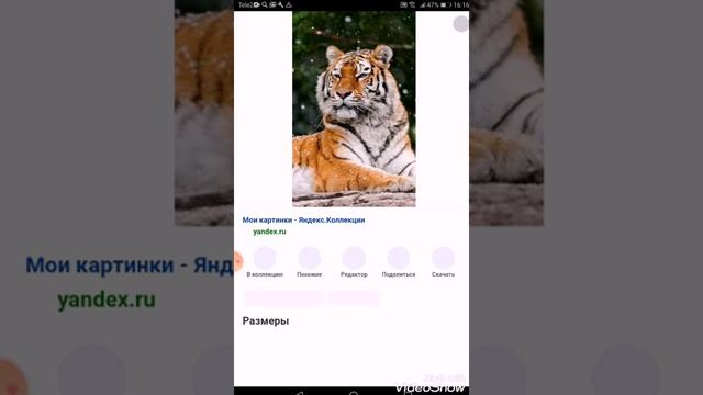 Как скачать картинку из интернета с телефона, и где её потом найти? Обучалка 8. смотреть онлайн