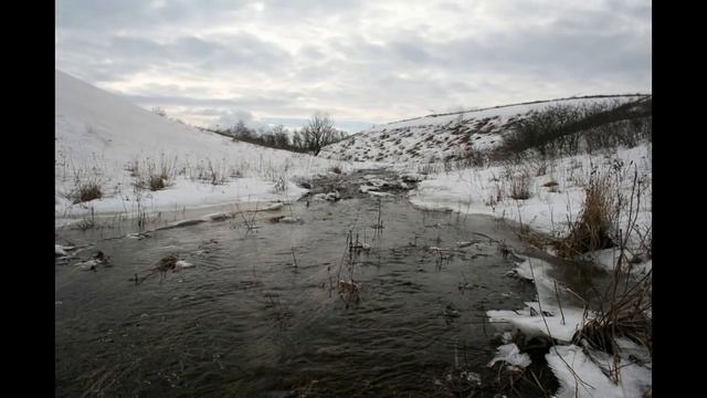 Центрально - Черноземный Государственный Заповедник ( часть 3) смотреть онлайн