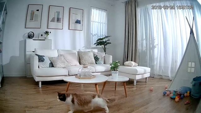 Cámara WIFI Imou Ranger 2 смотреть онлайн