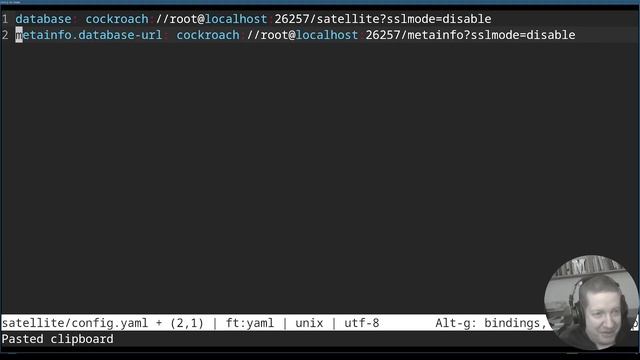 Storj@Home #2: Start the first Satellite microservice (Satellite API) смотреть онлайн