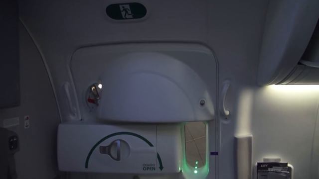 Boeing 787 Dreamliner - Cabin Interior - Seating Details [HD]