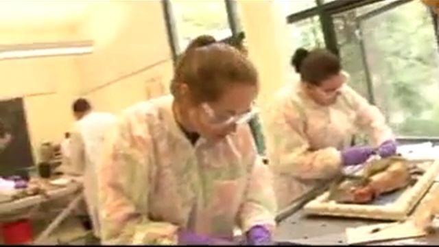 University Of California, Santa