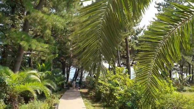 Секретное место в Чеджудо  бассейны в вулканических кратерах.제주도.Jeju-do Secret Place .