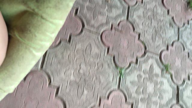 1000032556.mp4 смотреть онлайн