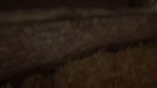 how to skip outlast until underground lab (skipping 80% of the game)