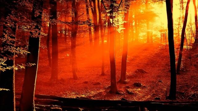 Ludovico Einaudi - Divenire [HD] смотреть онлайн