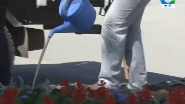 озеленение города смотреть онлайн