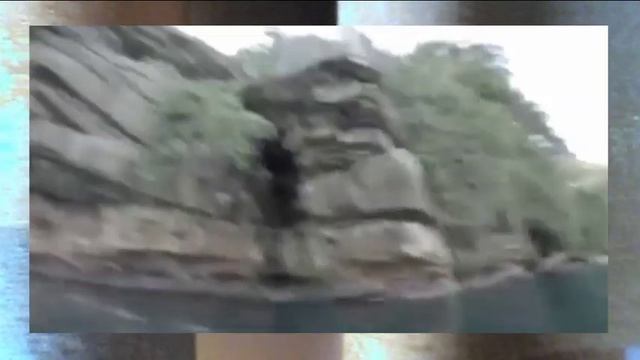 УЖАСНАЯ ВСТРЕЧА С АКУЛОЙ смотреть онлайн