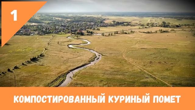 Куриный помет – удобрение для деревьев и кустарников смотреть онлайн