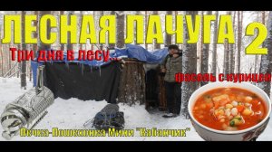 ЛЕСНАЯ ЛАЧУГА 2 | Три дня в зимнем лесу| походная печка пошехонка мини "Кабанчик"