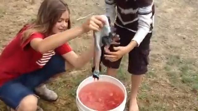 Father And Daughter Rabbit Slaughter