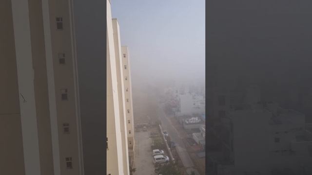 Cold wave with Dense fog. смотреть онлайн