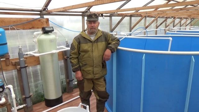 Выращивание стерляди. смотреть онлайн