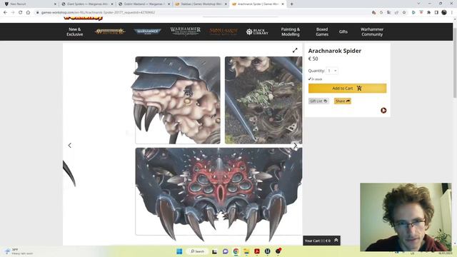 Ninth Age Fantasy Battles: 3000 points Orcs & Goblins Beginner Army Suggestion смотреть онлайн