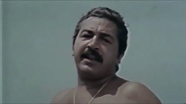 Il vizio di famiglia 1975 Italian Movie