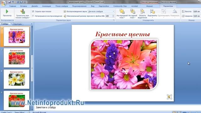 03 Мастер мультимедиа презентаций. смотреть онлайн