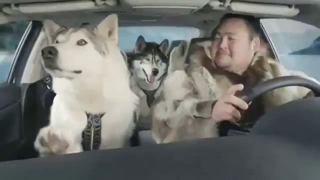 Позитив! Лучший олень однако - реклама Suzuki смотреть онлайн