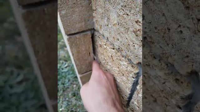 Дорогая ровная ракушка, но положена посредственно.