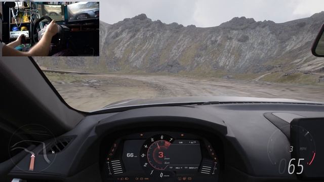 Forza Horizon 5 + Steering Wheel = GOOD?