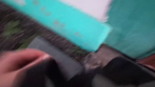 Кот Перс поймал мышку в доме...И снова обижает кота Серого 16-21 октября