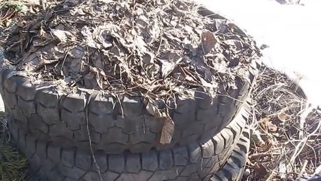 Ядерный реактор в саду смотреть онлайн