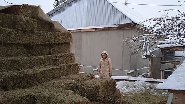 ВОСКРЕСЕНЬЕ ЗА 12 МИНУТ.19/12/21 смотреть онлайн