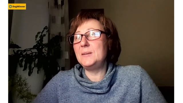 Как добиться внимания и взгляда собаки? «Вопрос-ответ» с кинологом Татьяной Шамановой смотреть онлайн