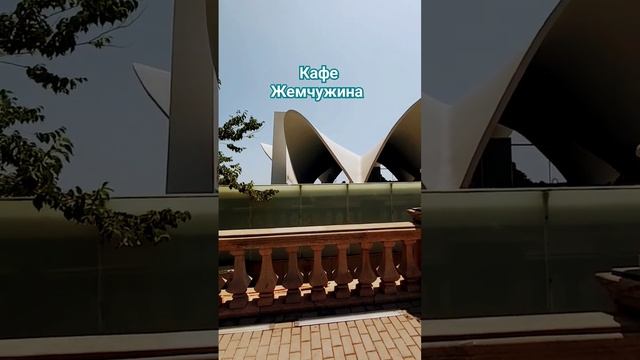 Кафе Жемчужина на бульваре Баку ??#beautiful #summer #baku #bakililar #бакинцы #azerbaycan #shorts смотреть онлайн