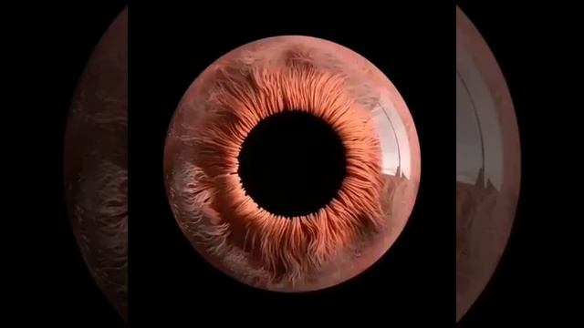 Приключения в Микромире