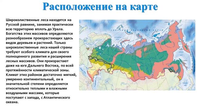 Биология 5 класс. Параграф 21 смотреть онлайн