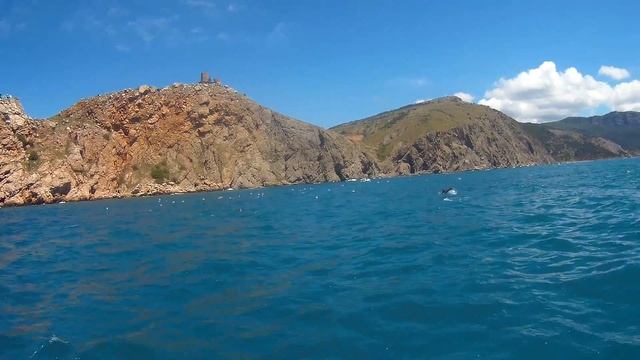 Балаклава | Чёрное море | Дельфины смотреть онлайн