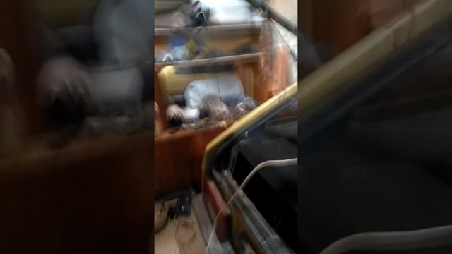 Как можно снять старую тонировку смотреть онлайн