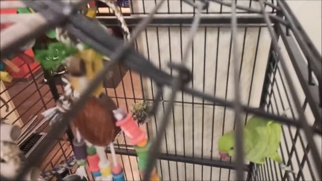 Ремонт окончен! смотреть онлайн