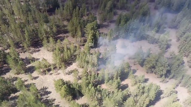 21.06.2017 года на территории ГРУ ГЛПР "Ертiс орманы" возник лесной пожар. смотреть онлайн