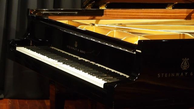 Hamburg Steinway Model D with MIDI playback & recording смотреть онлайн