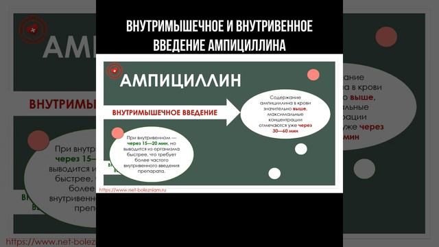 Внутривенное и внутримышечное введение ампициллина #антибиотики #ампициллин #фармакология #фармацев смотреть онлайн