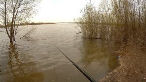 Рыбалка в разлив,на поплавок!